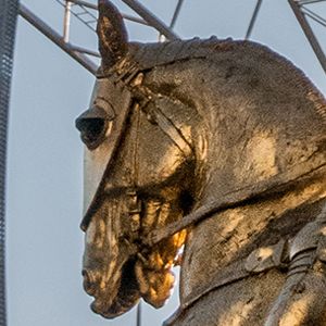 paris-muta-silencia06