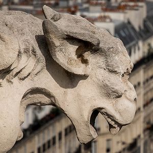 paris-muta-silencia18