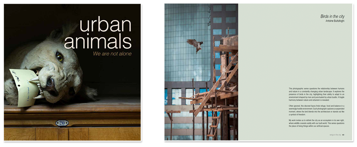 image-publication-14